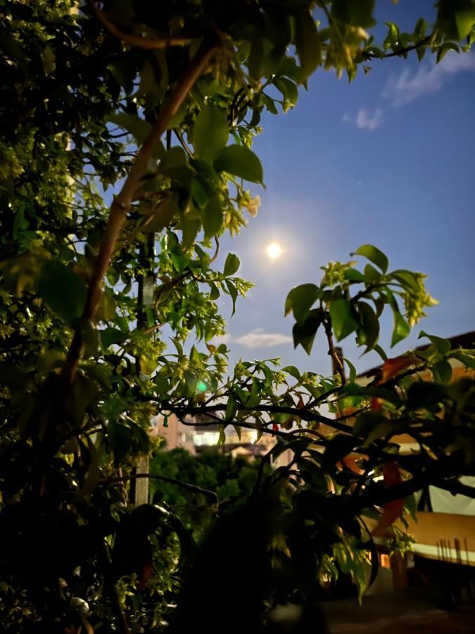 Apartmani Goran I Jelena Zec Budva Buitenkant foto