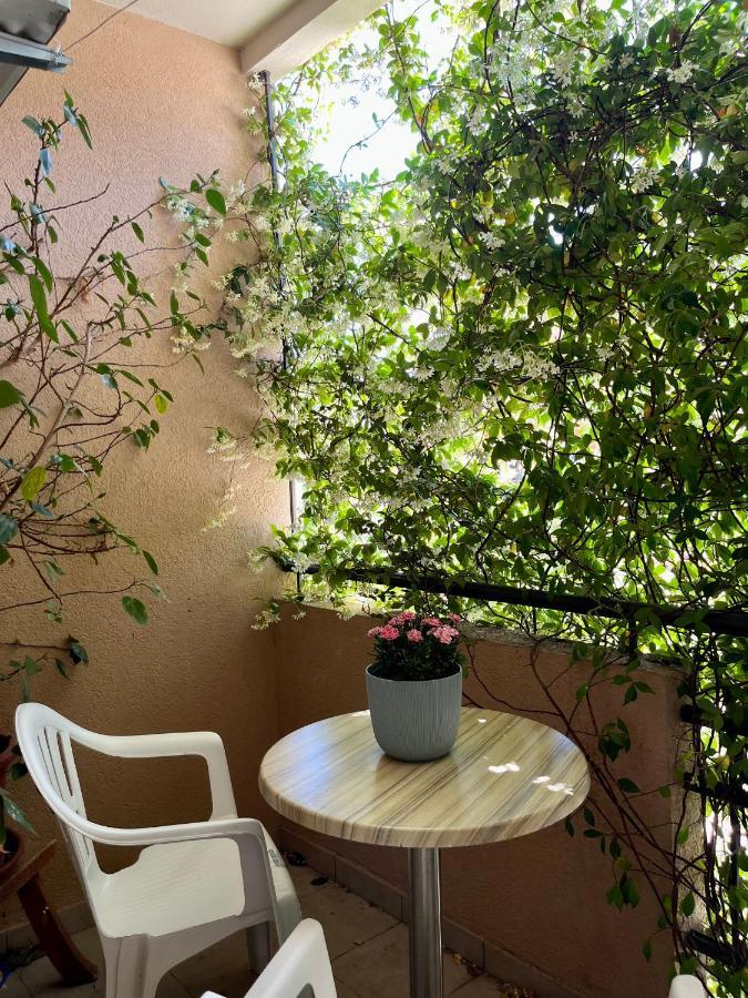 Apartmani Goran I Jelena Zec Budva Buitenkant foto